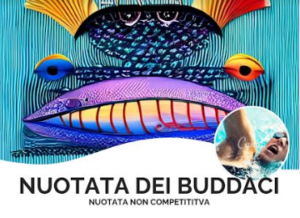 La Nuotata dei Buddaci