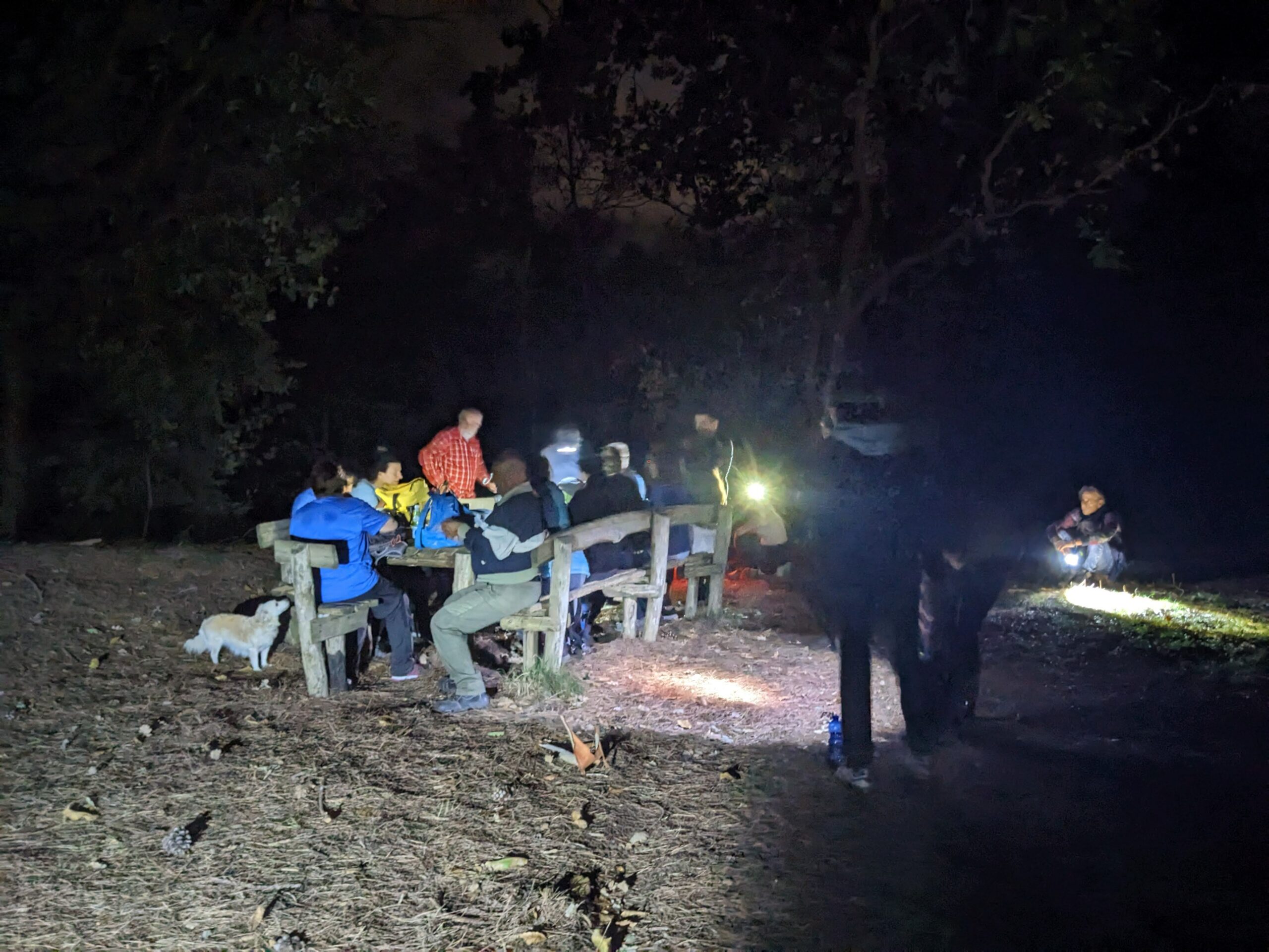 trekking notturno a Candelara