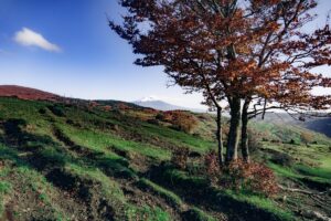 Autunno sui Nebrodi in foto