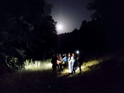 Trekking Notturno – Torrente Ciaramita