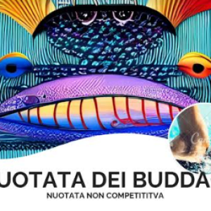 La Nuotata dei Buddaci