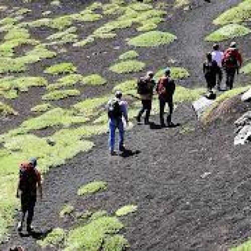 10 Marzo 24 – Trekking della Grotta Serracozzo